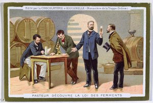Pasteur oppdaget fermentering, reklamekort for Chocolaterie d