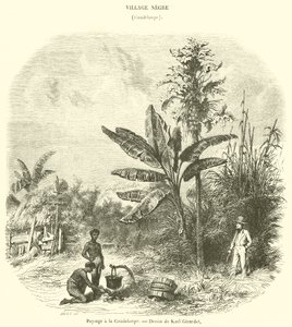 Landskap i Guadeloupe (gravering) av French School