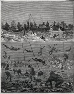 Perlefersken på Ceylon (dagens Sri Lanka) på 1800-tallet. Gravering fra 1885 i "" Les arts et metiers illustres"" av Adolphe BITARD. av French School