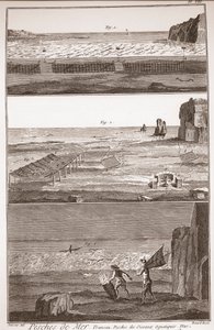 Peche de Mer - Trameau - Vannfuglefiske - "" The Great Encyclopedia, eller Dictionnaire Raisonne des Sciences, des Arts et des Metiers" (Encyclopedia or Dictionary of the Sciences, Arts and Professions) av Denis Diderot (1713-1784) og Jean d 
