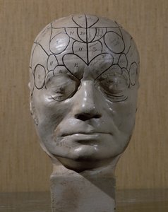 Frenologisk leder av Jean Martin Charcot (keramikk) av French School