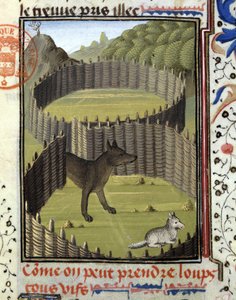 Piege en ulv - i "" Hunting Book of Gaston Phoebus, Count of Foix, Lord of Béarn"" av French School