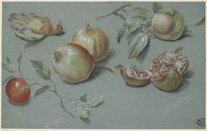 Pomegranates and Dead Bird, tidlig på 1800-tallet (kritt på papir) av French School