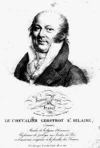Portrett av Etienne Geoffroy Saint-Hilaire (1722-1844) av French School