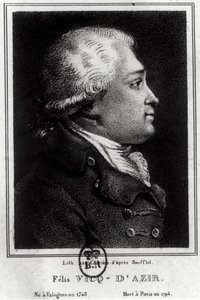 Portrett av Felix Vicq dAzyr (1748-94) av French School