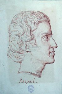 Portrett av Francois Vincent Raspail (1794-1878) (rødt kritt på papir) av French School