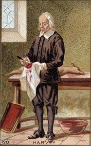 Portrett av William Harvey (1578-1657), engelsk lege. av French School
