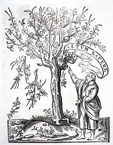 Skriverens emblem til Robert Estienne, Paris, 1526 av French School