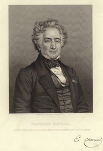 Professor Chevreul av French School