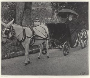 Dronning Victoria i Cimiez av French School