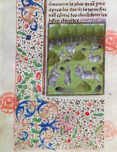 Rabbit warren, fra boken om jakten av Gaston Phebus de Foix (1331-91) av French School