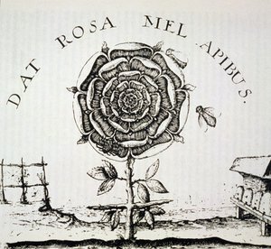 Rosicrucian Allegory, kopi av en gravering av Johann Theodore de Bry (ca. 1598), brukt i en History of Magic, utgitt sent på 1800-tallet av French School
