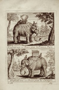 Kongelige elefanter, fra Voyage du Siam des Peres Jesuites av Guy Tachard, 1688 av French School