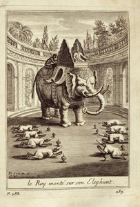 Kongelige elefanter, fra Voyage du Siam des Peres Jesuites av Guy Tachard, 1688 av French School