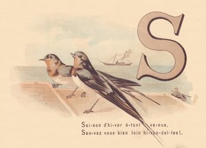 S: Vintersesongen har kommet, Redd deg selv langt borte svaler! av French School