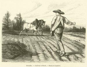 Såing, gammel metode (gravering) av French School