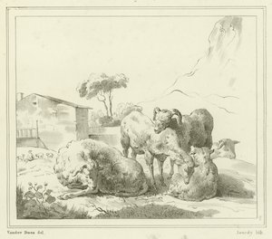 Sauer i et landskap