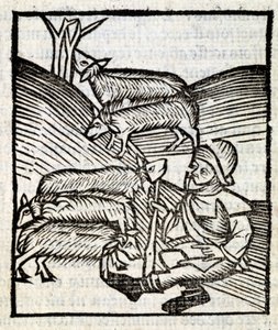 Hyrde holder lammene sine i «Le Jardin de santé oversatt fra latin til fransk, nytrykt i Paris» av French School