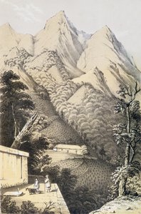 Teplantasjer i Green Tea-distriktet i Kina, hentet fra A Journey to the Tea Countries of China, først utgitt 1852, av Robert Fortune (1812-1880) av French School