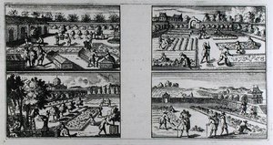 Tending a garden, fra 