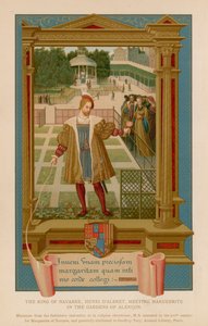Kongen av Navarra, Henri D
