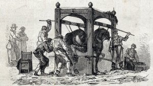 Den nasjonale veterinærskolen i Alfort - Les Grandes Ecoles de France - Veterinærskolen i Maison Alfort i 1866 - Skoingen av motvillige hester - Gravering i "Le monde illustrious" fra 1866 av French School