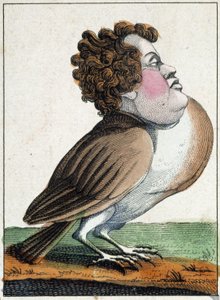 Duen i karikatur, studie av karakter "flyktig karakter" sd. 19. populære bilder. av French School