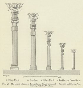 De flere kolonnene ved Persepolis og Istakhr sammenlignet av French School