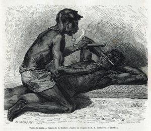 Størrelsen på tennene i Okanda, tegning av D. Maillard, for å illustrere historien om en tur til Gabon og elven Ogoue i 1875-1877, av Alfred Marche. Gravering i Le tour du monde av French School