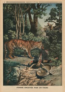 Tiger angriper en kvinne, baksideillustrasjon fra 'Le Petit Journal', bilagsillustre, 15. mars 1914 av French School