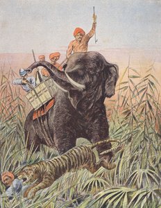 Tigerjakt, India (fargelitografi) av French School