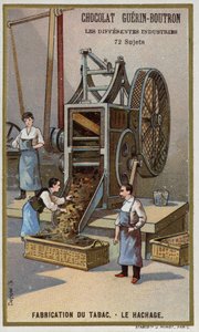 Tobakkproduksjon. Makulering av blader (kromolito) av French School