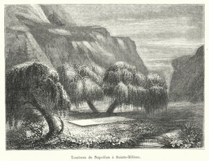 Napoleons grav i Sainte-Helene (gravering) av French School
