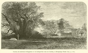 Graver av fru Livingstone og Kirkpatrick under et baobabtre, ved Shoupanga House (gravering) av French School