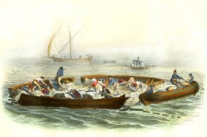 Tunfiske eller magrague - Tallerken hentet fra Histoire Naturelle av Bernard Germain de Lacepede (1856-1925), utgave P.Furme, Paris av French School