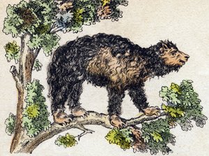 Unau (Faultier). Gravur in „Alphabet der wilden Tiere“. 9. Serie. Bildersammlung von Epinal, Pellerin, Drucker-Verleger, um 1870. Holzschnitte, schabloniert. 16 Seiten. Dim: 20 x 15 cm. Private Sammlung von French School