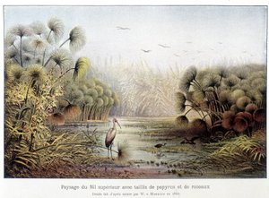 Øvre Nil-passasje med papyrus og sivkvadrater. av French School