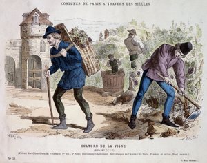 Vinrankekultur på 1400-tallet - i "" Costume de Paris gjennom århundrene"" av French School