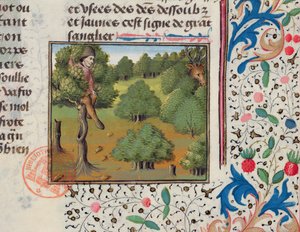 Venter på hjort gjemmer seg i et tre, fra Livre de la Chasse av Gaston Phebus av French School