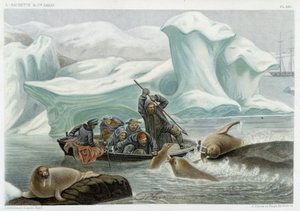 Hvalrossjakt - i "" Le monde de la mer "" av Alfred Fredol, Hachette, Paris av French School