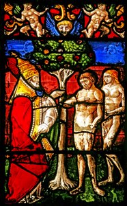 Fenster w2 mit Adam, der angewiesen wird, nicht vom Baum der Erkenntnis zu essen von French School