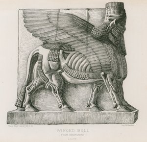 Bevinget okse, fra Khorsabad, Louvre av French School