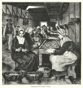Kvinner tilbereder sardiner (gravering) av French School