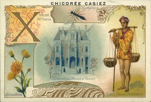 Xeranthemum, Ximo japansk, House a Tours og treveps (chromolitho) av French School