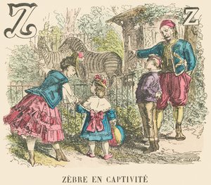 Z: Sebra i fangenskap av French School