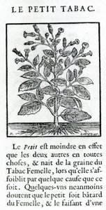 Den lille tobakken, illustrasjon fra Discours du Tabac av Jean Le Royer de Prade, 1671 av French School