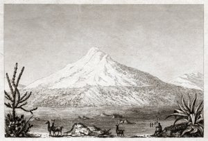 Chimborazo vulkan. (gravering, ca. 1840)