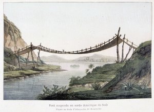 Tauhengebro i Sør-Amerika, basert på en tegning av Alexander Von Humboldt (Alexander de Humboldt