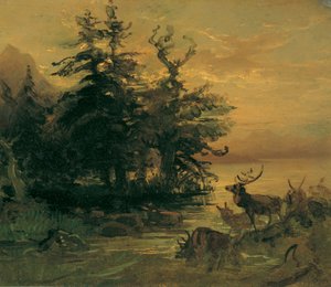 Veltrende hjort ved bredden av et fjellvann