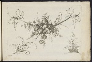 Festool van frukt, blader og blomster Annen ny festong av blomster og frukt (serietittel) av Friedrich Jacob Morisson